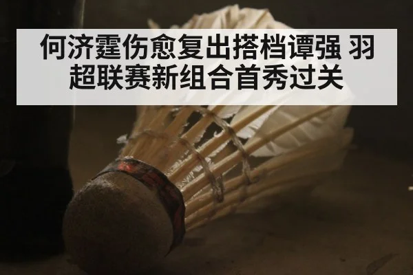 何济霆伤愈复出搭档谭强 羽超联赛新组合首秀过关
